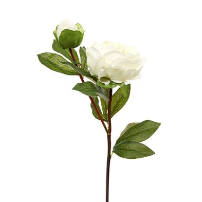 Picture of 77cm LARGE PEONY SPRAY IVORY