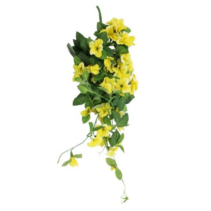 Picture of 60cm TRAILING MORNING GLORY BUSH YELLOW