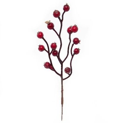Picture of 24cm BERRY PICK RED
