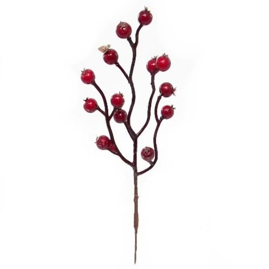 Picture of 24cm BERRY PICK RED