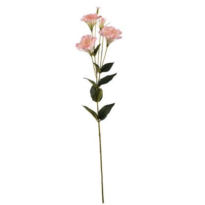 Picture of 87cm LISIANTHUS (EUSTOMA) SPRAY LIGHT PINK