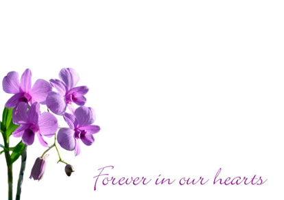 Picture of LARGE GREETING CARDS X 12 FOREVER IN OUR HEARTS - LILAC ORCHIDS