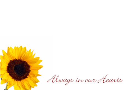 Picture of LARGE GREETING CARDS X 12 ALWAYS IN OUR HEARTS - SUNFLOWER