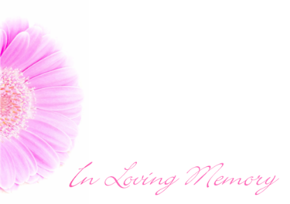 Picture of LARGE GREETING CARDS X 12 IN LOVING MEMORY - PINK GERBERA