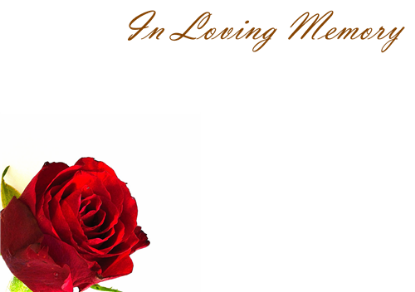 Picture of LARGE GREETING CARDS X 12 IN LOVING MEMORY - RED ROSE