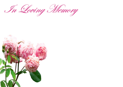 Picture of LARGE GREETING CARDS X 12 IN LOVING MEMORY - PINK PEONIES