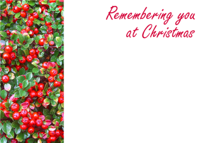 Picture of LARGE GREETING CARDS X 12 REMEMBERING YOU AT CHRISTMAS - RED BERRIES