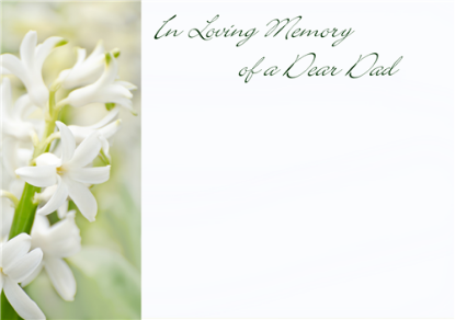 Picture of LARGE GREETING CARDS X 12 IN LOVING MEMORY OF A DEAR DAD - WHITE HYACINTH