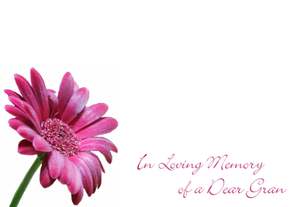 Picture of LARGE GREETING CARDS X 12 IN LOVING MEMORY OF A DEAR GRAN - PINK GERBERA
