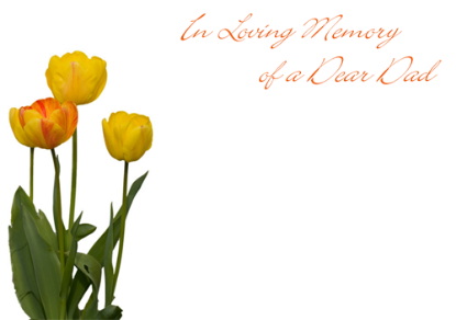 Picture of LARGE GREETING CARDS X 12 IN LOVING MEMORY OF A DEAR DAD - YELLOW TULIPS