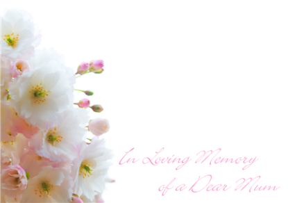 Picture of LARGE GREETING CARDS X 12 IN LOVING MEMORY OF A DEAR MUM - WHITE/PINK BLOSSOMS
