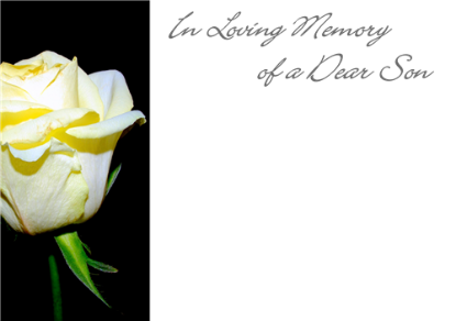 Picture of LARGE GREETING CARDS X 12 IN LOVING MEMORY OF A DEAR SON - CREAM ROSE