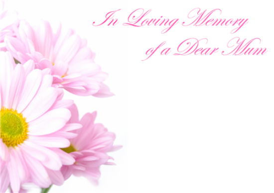 Picture of LARGE GREETING CARDS X 12 IN LOVING MEMORY OF A DEAR MUM - PINK DAISIES