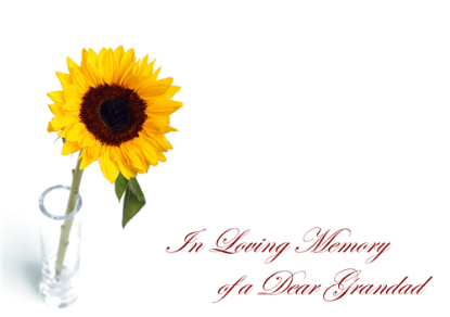 Picture of LARGE GREETING CARDS X 12 IN LOVING MEMORY OF A DEAR GRANDAD - SUNFLOWER