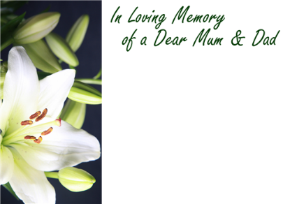 Picture of LARGE GREETING CARDS X 12 IN LOVING MEMORY OF A DEAR MUM AND DAD - CREAM LILY