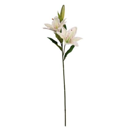 Picture of 66cm LILY SPRAY IVORY X 12pcs