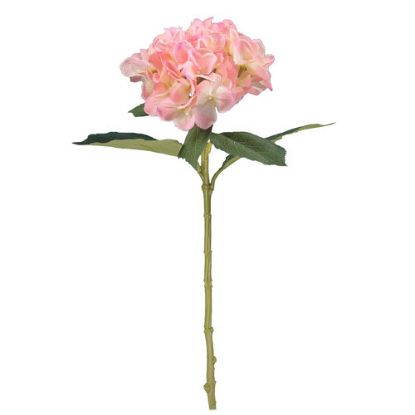 Picture of 51cm SINGLE LARGE HYDRANGEA PEACH/PINK