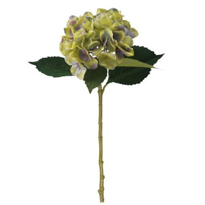 Picture of 51cm SINGLE LARGE HYDRANGEA GREEN