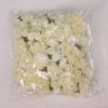 Picture of ROSE FLOWER HEAD IVORY X 100pcs