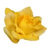 Picture of ROSE FLOWER HEAD YELLOW X 100pcs
