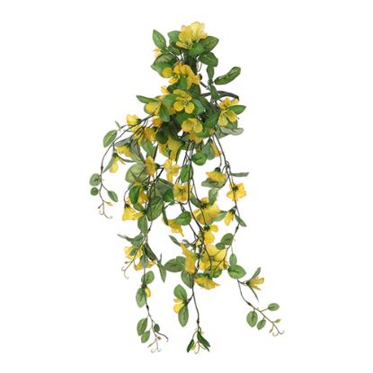 Picture of 69cm TRAILING MORNING GLORY BUSH YELLOW