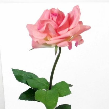 Picture of 75cm REAL TOUCH LARGE OPEN ROSE PINK