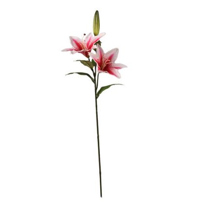 Picture of 66cm LILY SPRAY IVORY/RED X 12pcs