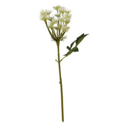 Picture of 33cm QUEEN ANNES LACE SPRAY IVORY