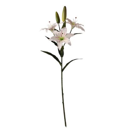 Picture of 78cm LILY SPRAY IVORY