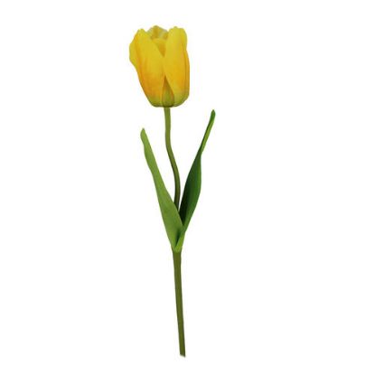 Picture of 41cm SINGLE FRENCH TULIP YELLOW