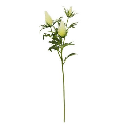 Picture of 67cm ERYNGIUM (SEA HOLLY) SPRAY IVORY