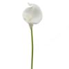 Picture of 38cm REAL TOUCH SINGLE CALLA LILY WHITE