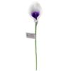 Picture of 38cm REAL TOUCH SINGLE CALLA LILY WHITE/PURPLE