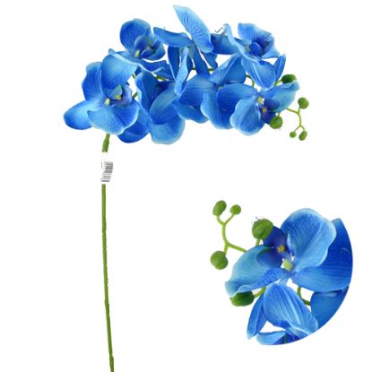 Picture of 105cm PHALAENOPSIS ORCHID SPRAY BLUE