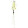 Picture of 105cm PHALAENOPSIS ORCHID SPRAY IVORY