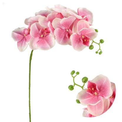 Picture of 105cm PHALAENOPSIS ORCHID SPRAY PINK