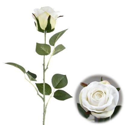 Picture of 72cm LUXURY LARGE SINGLE VELVET TOUCH ROSE IVORY
