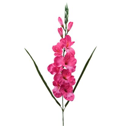 Picture of 78cm GLADIOLUS SPRAY PINK