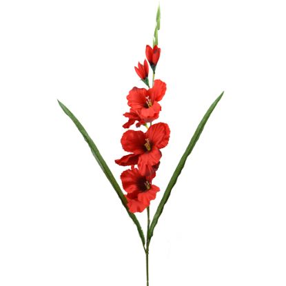 Picture of 78cm GLADIOLUS SPRAY RED
