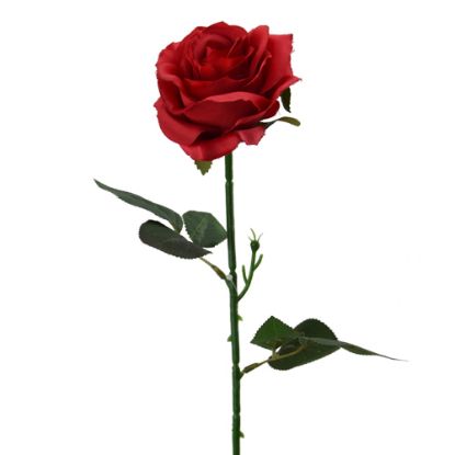 Picture of 48cm SINGLE OPEN ROSE RED