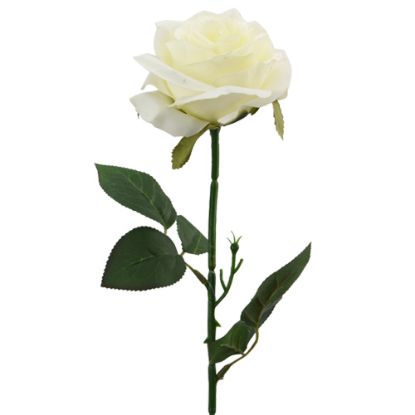 Picture of 48cm SINGLE OPEN ROSE IVORY