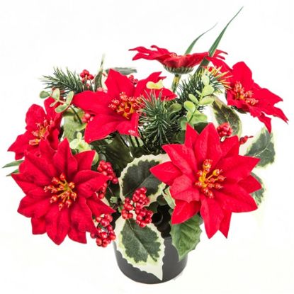 Picture of POINSETTIA/HOLLY AND PINE CEMETERY POT RED X 12pcs