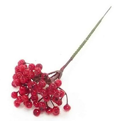 Picture of BERRY PICK RED X 72pcs