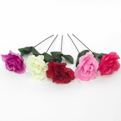 Picture of SINGLE 7 INCH OPEN ROSE ASSORTED X 144pcs