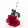 Picture of SINGLE 7 INCH OPEN ROSE RED X 144pcs