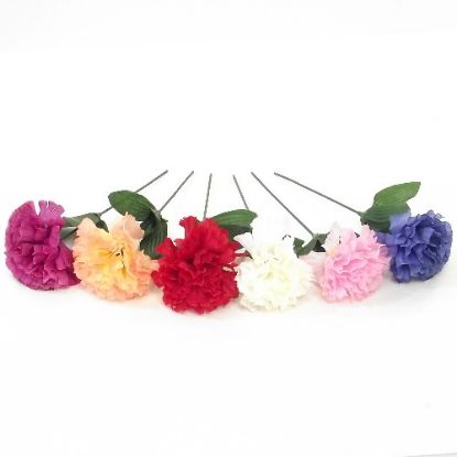Picture of SINGLE 7 INCH CARNATION ASSORTED X 144pcs