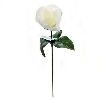 Picture of SINGLE 7 INCH CHRISTMAS ROSE WHITE X 144pcs