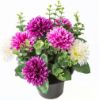 Picture of CEMETERY POT WITH CHRYSANTHEMUM AND EUCALYPTUS ASSORTED X 12pcs