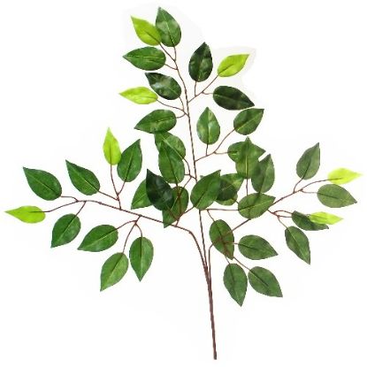 Picture of 60cm FICUS BRANCH (42 LEAVES) GREEN X 12pcs
