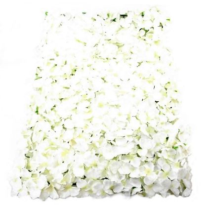 Picture of HYDRANGEA FLOWER WALL 60cm X 40cm IVORY